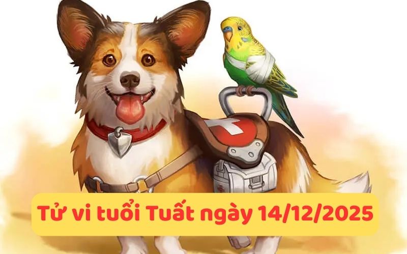 Xem tử vi 12 con giáp ngày 14/12/2025 - Ngày Đinh Tỵ