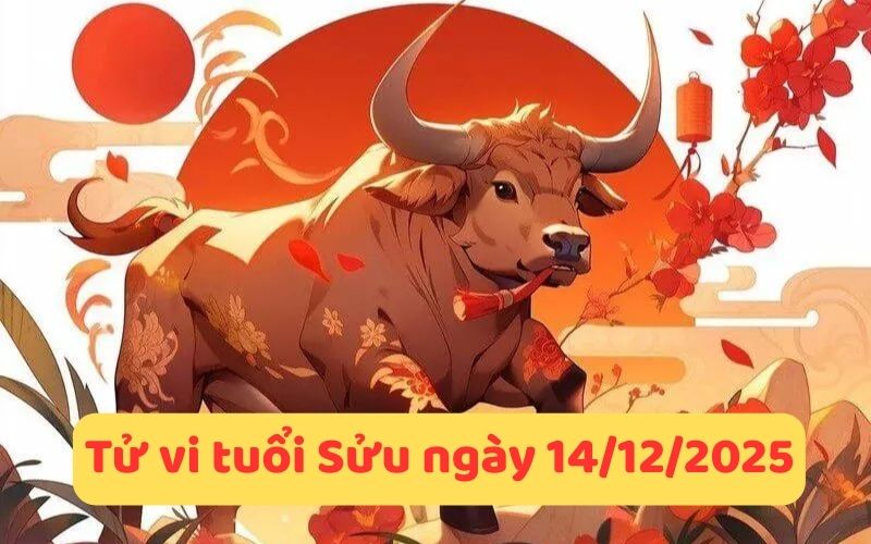 Xem tử vi 12 con giáp ngày 14/12/2025 - Ngày Đinh Tỵ