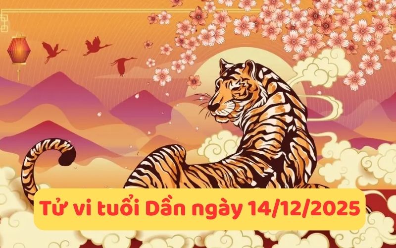 Xem tử vi 12 con giáp ngày 14/12/2025 - Ngày Đinh Tỵ
