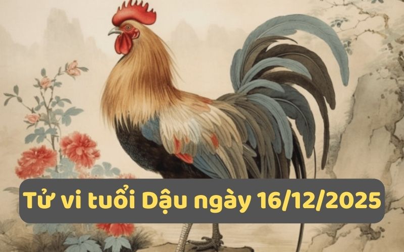 Giải tử vi 12 con giáp ngày 16/12/2025 - Ngày Kỷ Mùi