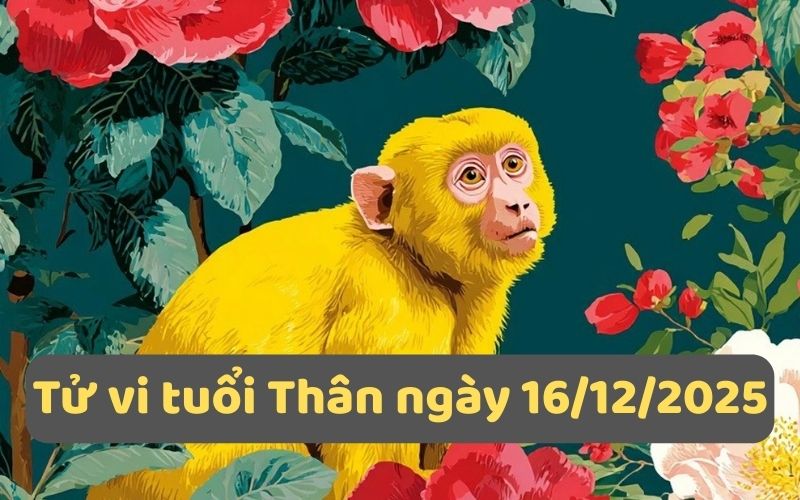 Giải tử vi 12 con giáp ngày 16/12/2025 - Ngày Kỷ Mùi