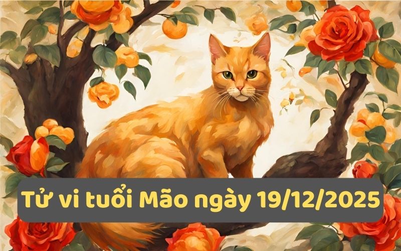 Luận tử vi 12 con giáp ngày 19/12/2025