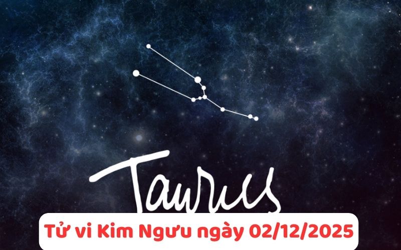 Tìm hiểu tử vi 12 cung hoàng đạo ngày 02/12/2025 chi tiết