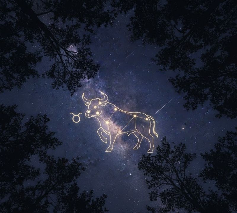 Phân tích về tử vi 12 cung hoàng đạo ngày 07/01/2026 4 Phân tích về tử vi 12 cung hoàng đạo ngày 07/01/2026