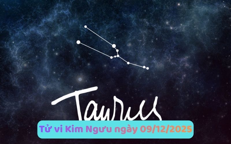 Tử vi 12 cung hoàng đạo ngày 09/12/2025 - Phân tích chi tiết