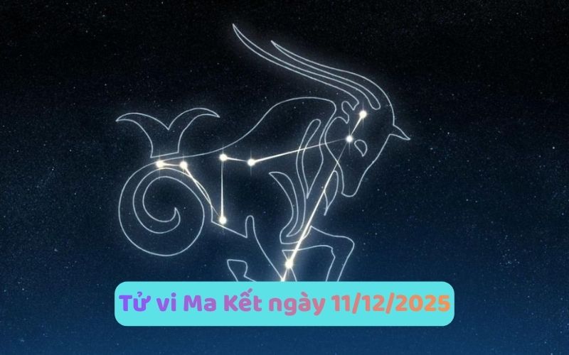 Xem tử vi 12 cung hoàng đạo ngày 11/12/2025