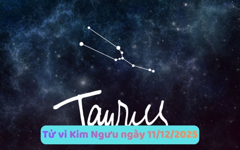 Xem tử vi 12 cung hoàng đạo ngày 11/12/2025