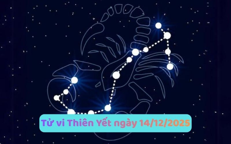 Phân tích tử vi 12 cung hoàng đạo ngày 14/12/2025 cụ thể 10 Phân tích tử vi 12 cung hoàng đạo ngày 14/12/2025 cụ thể